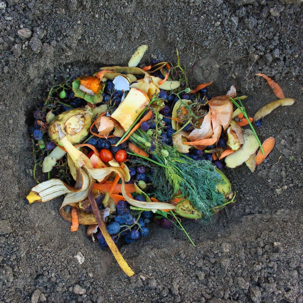 huiselijk verspilling voor compost van fruit en groenten in tuin. foto