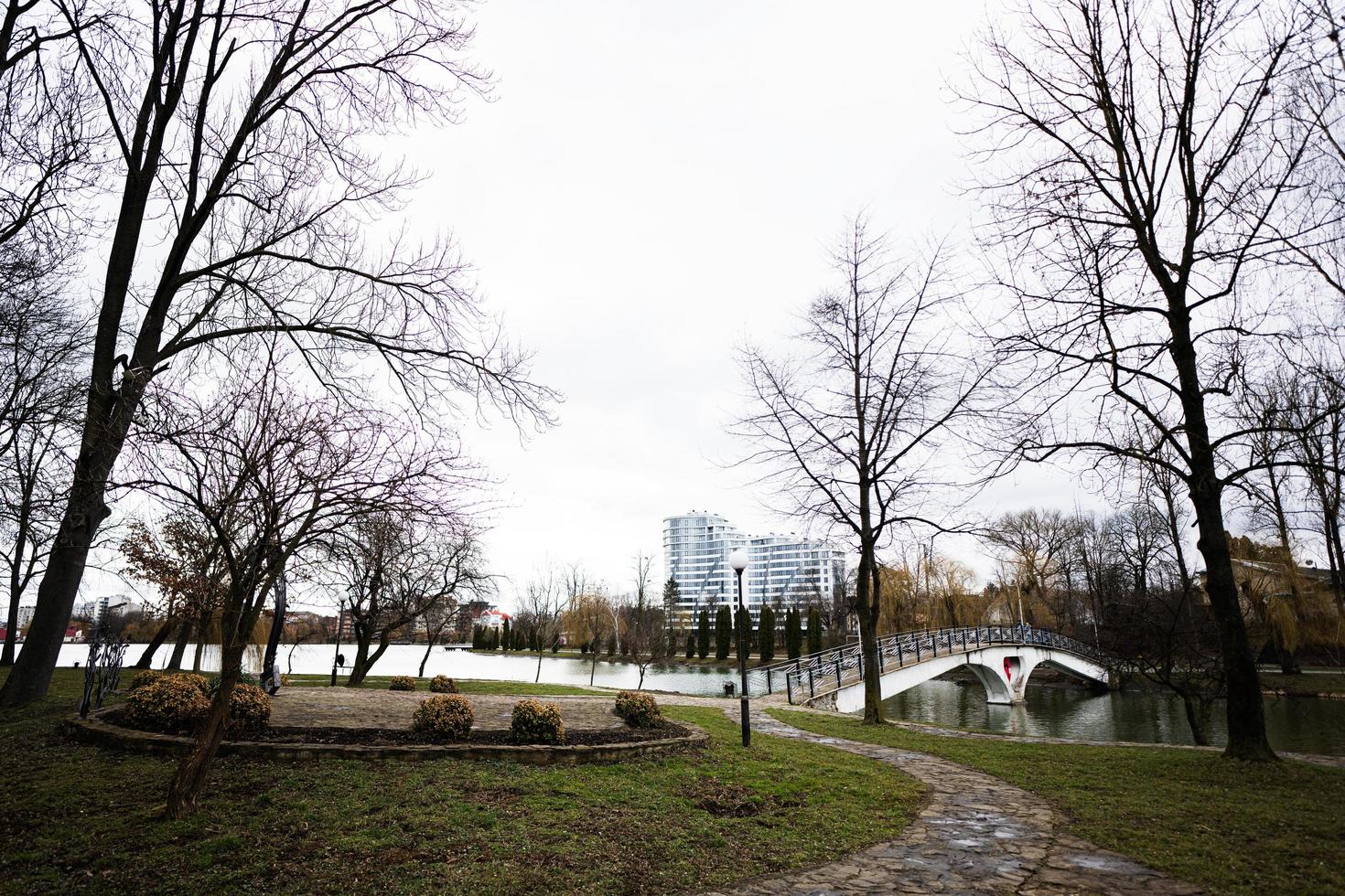 voetganger brug in park. foto