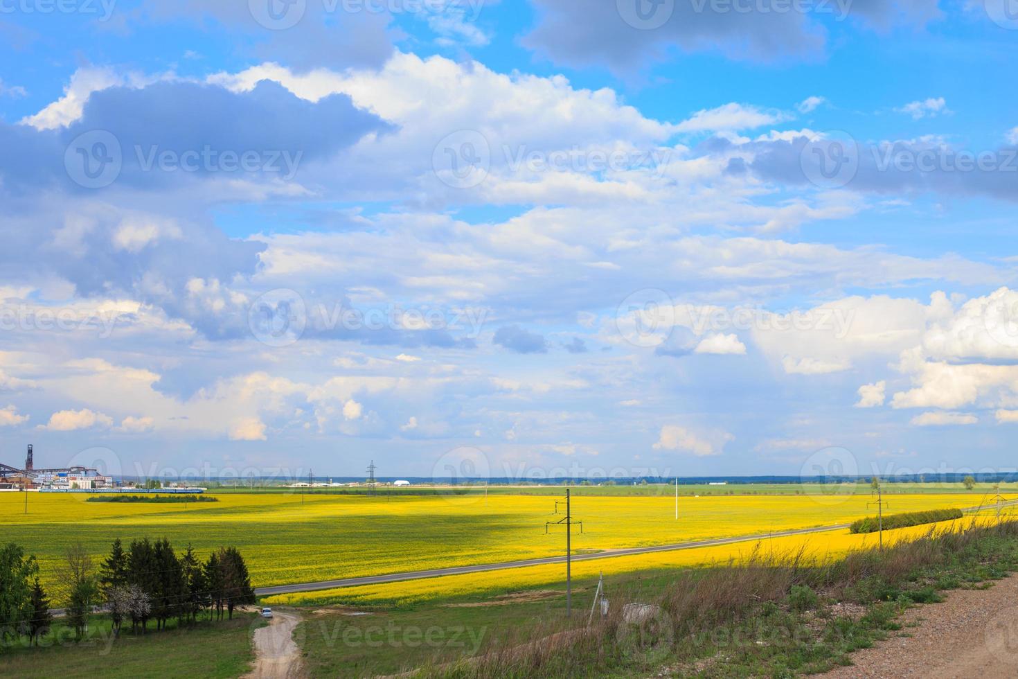 de koolzaad veld- met een blauw lucht foto