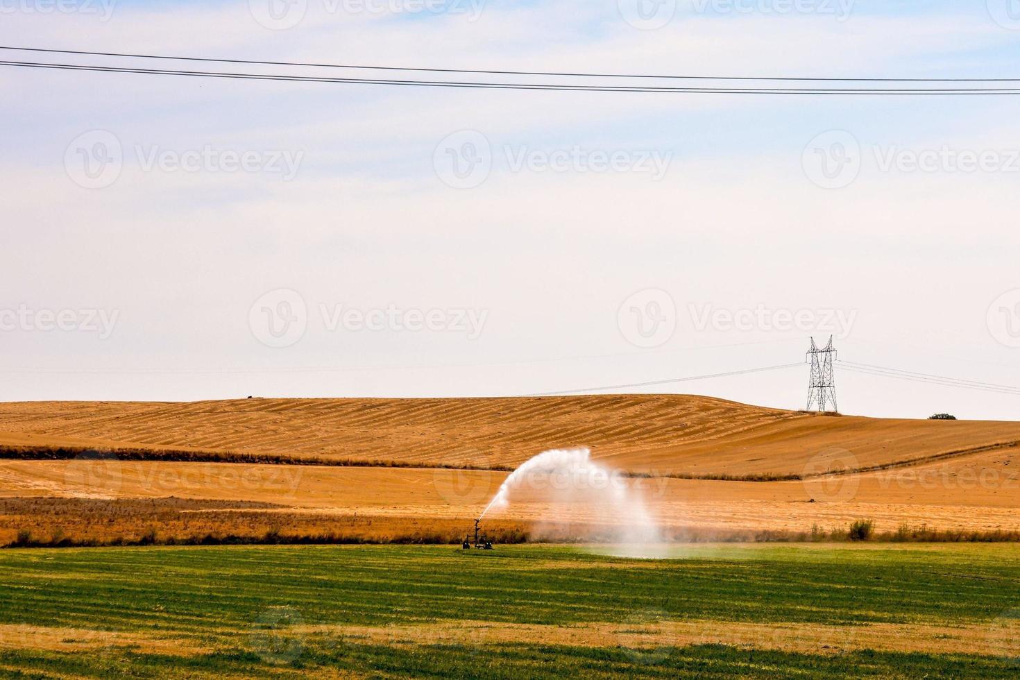 toneel- landelijk landschap foto