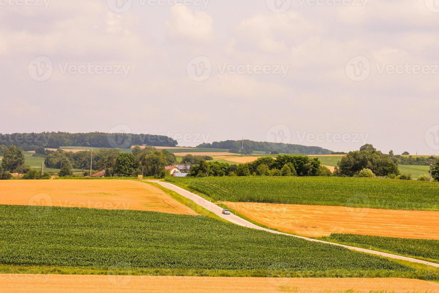 toneel- landelijk landschap foto