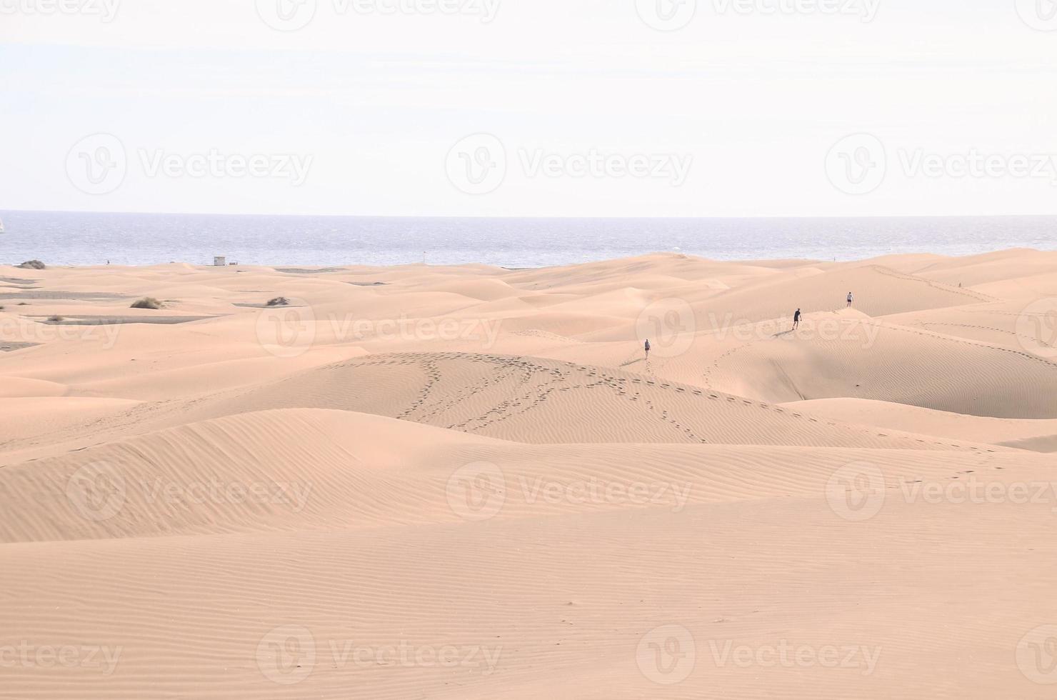 toneel- woestijn landschap foto