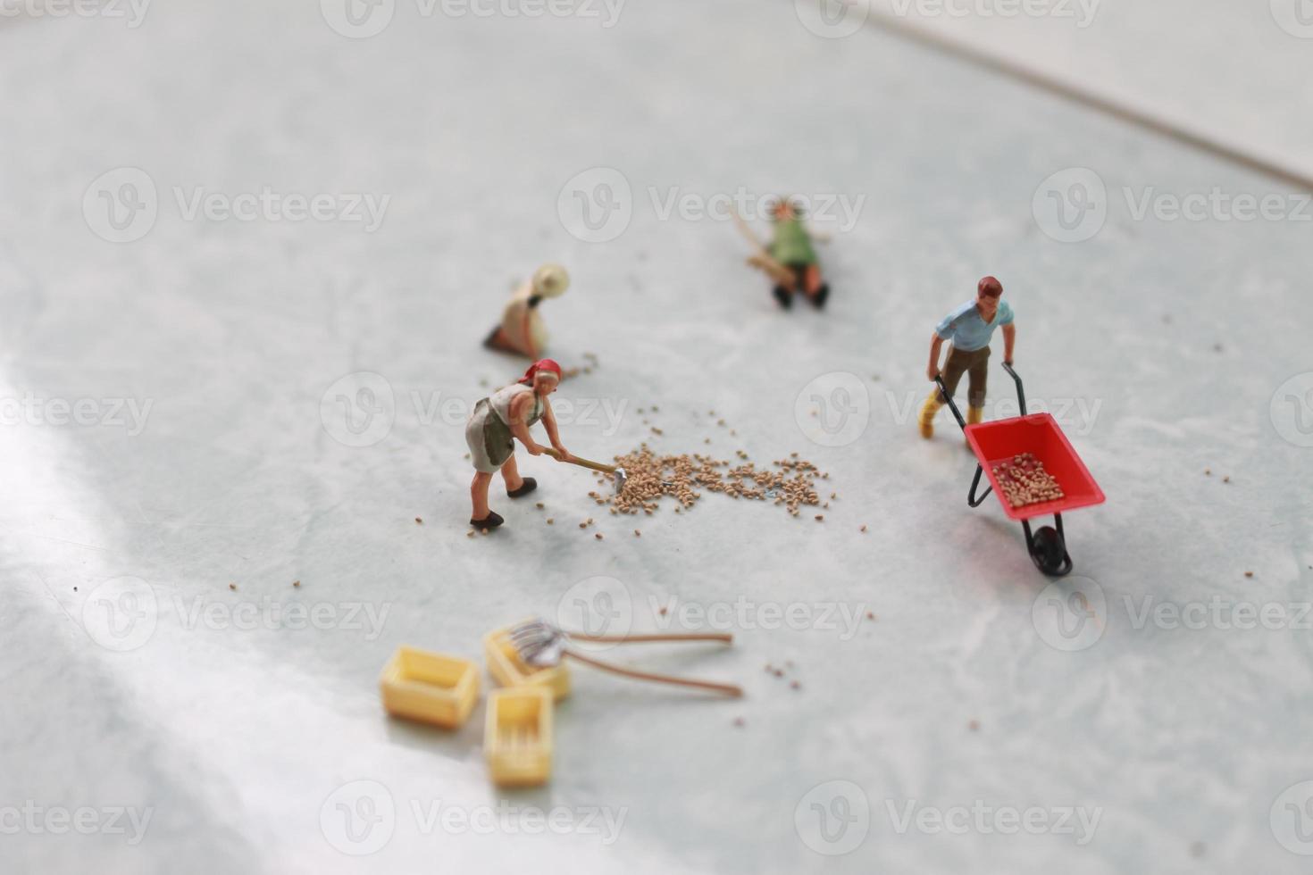 miniatuur figuren van arbeiders werken samen naar Actie korrel. foto