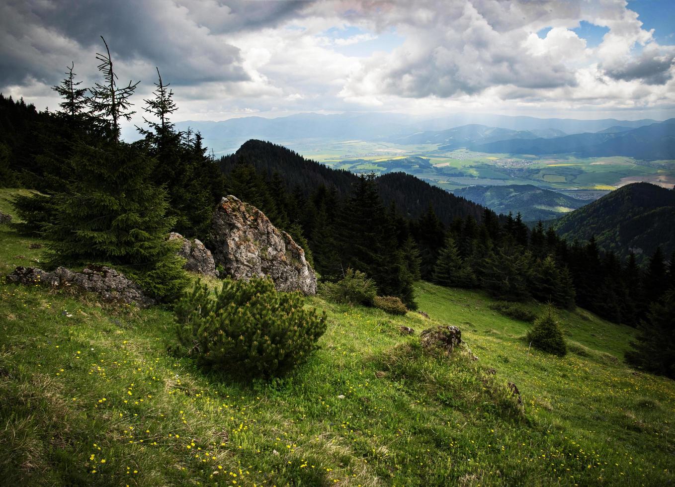 groene bergweide foto