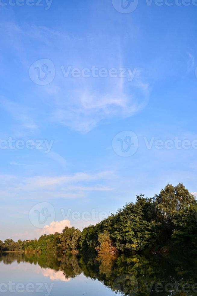 bomen langs de rivier- foto