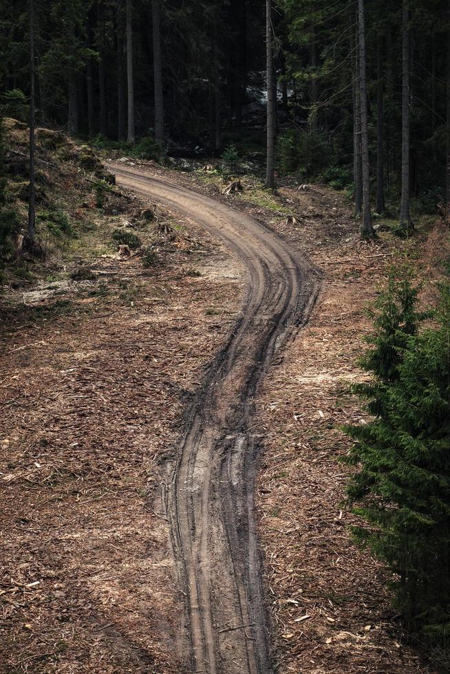 modderige weg in bossen foto