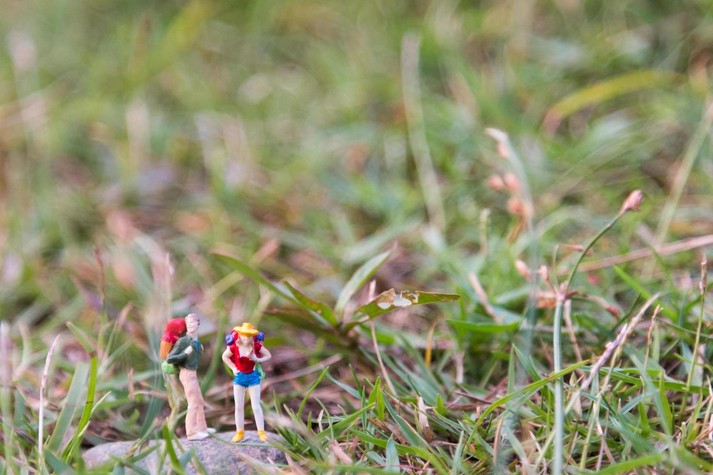 miniatuurreizigers met rugzakken staan en lopen in een weiland foto