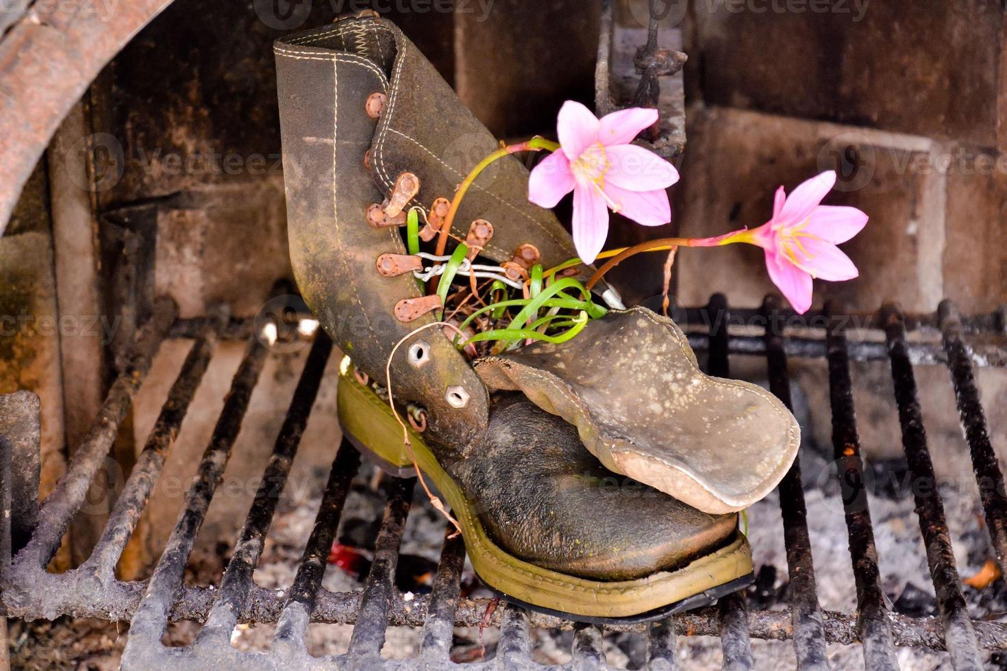 planter voor flora foto