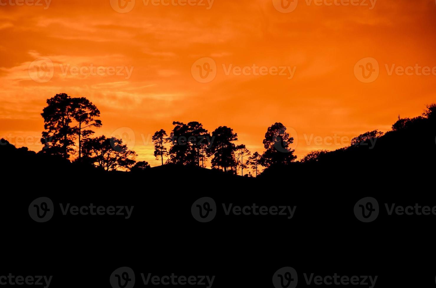 prachtig uitzicht op de zonsondergang foto