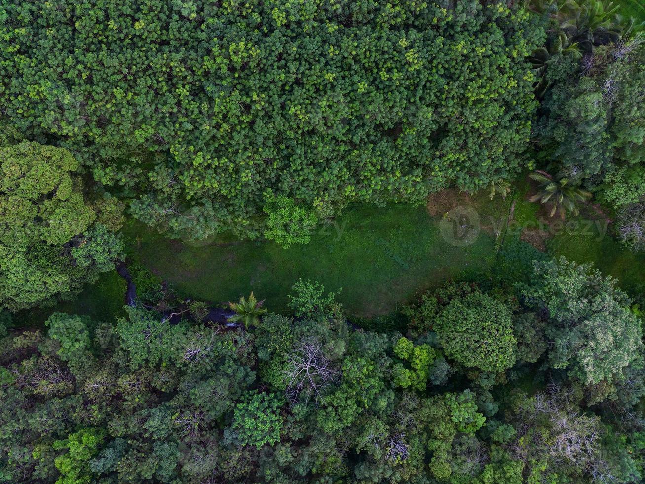 antenne visie van groen rijst- terrassen in Indonesië foto