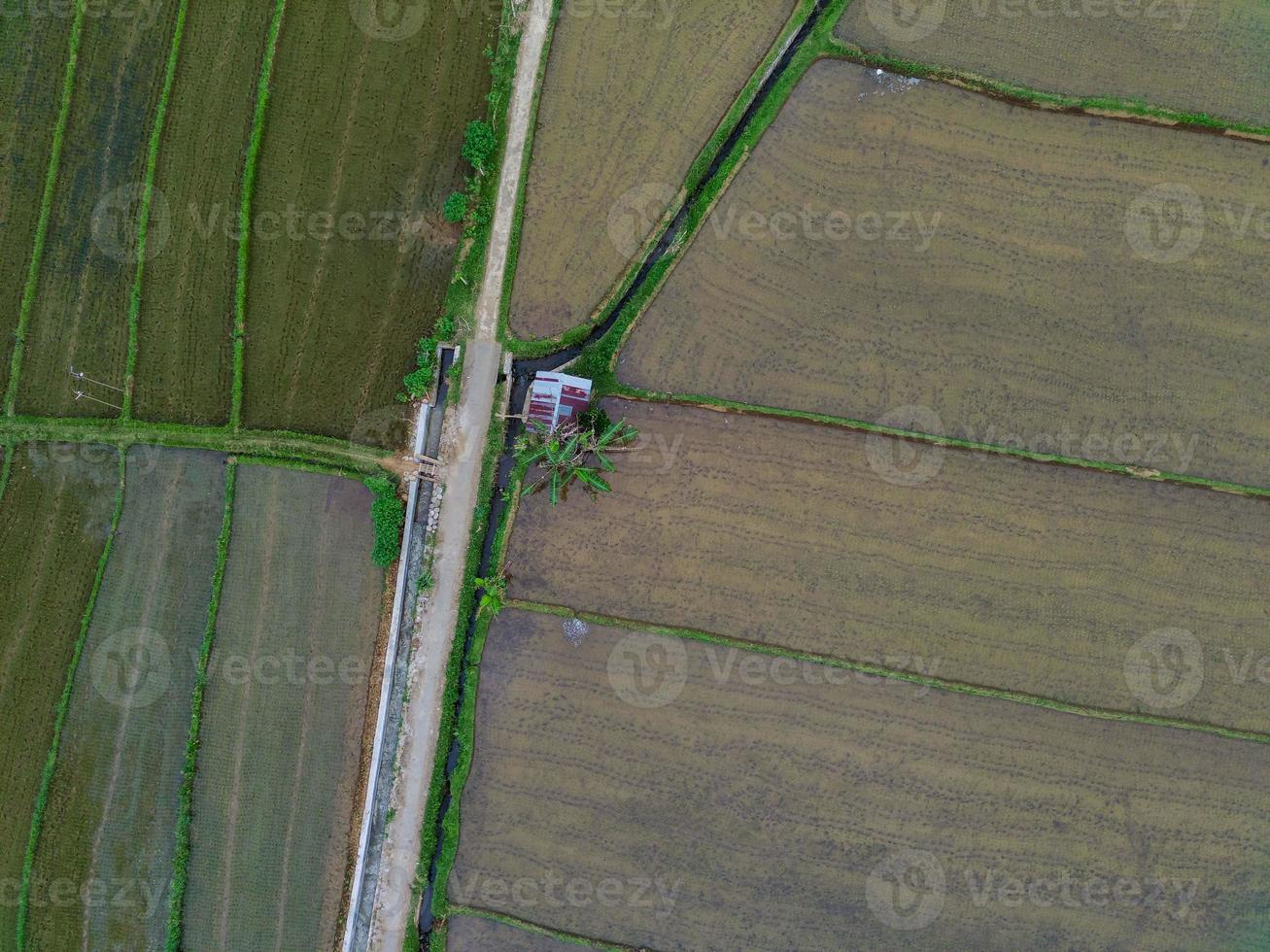 antenne visie van groen rijst- terrassen in Indonesië foto