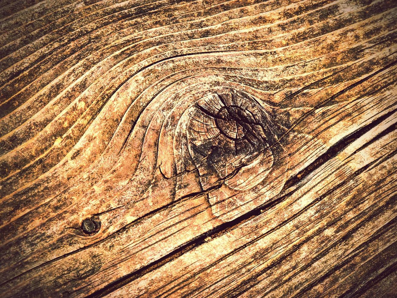 detail van oud hout met knoop foto