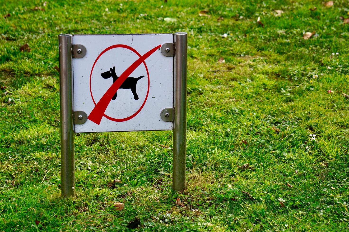 geen honden ondertekenen op het gras foto