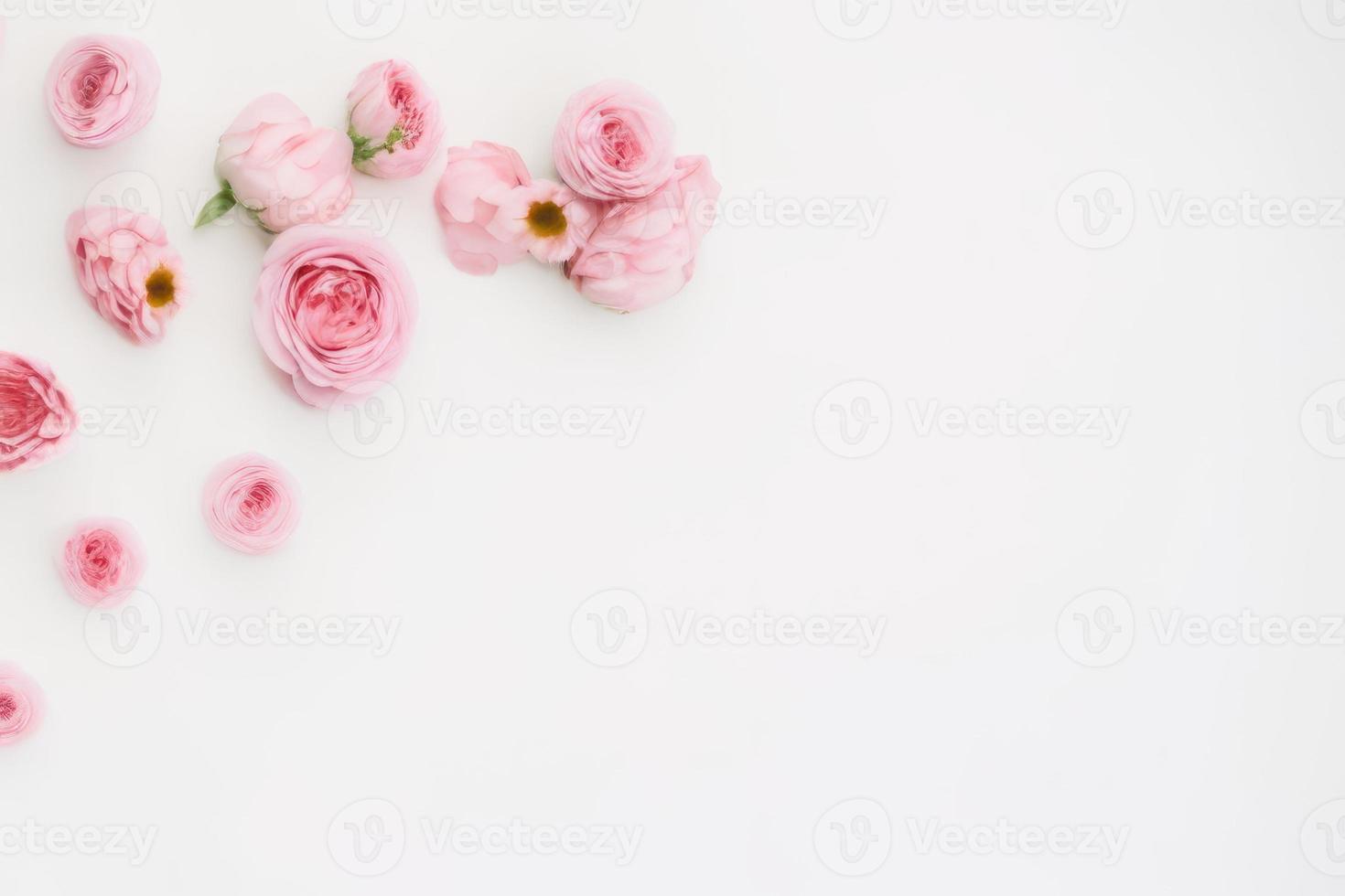 roze voorjaar bloem Aan wit achtergrond, mooi bundel van bloem foto