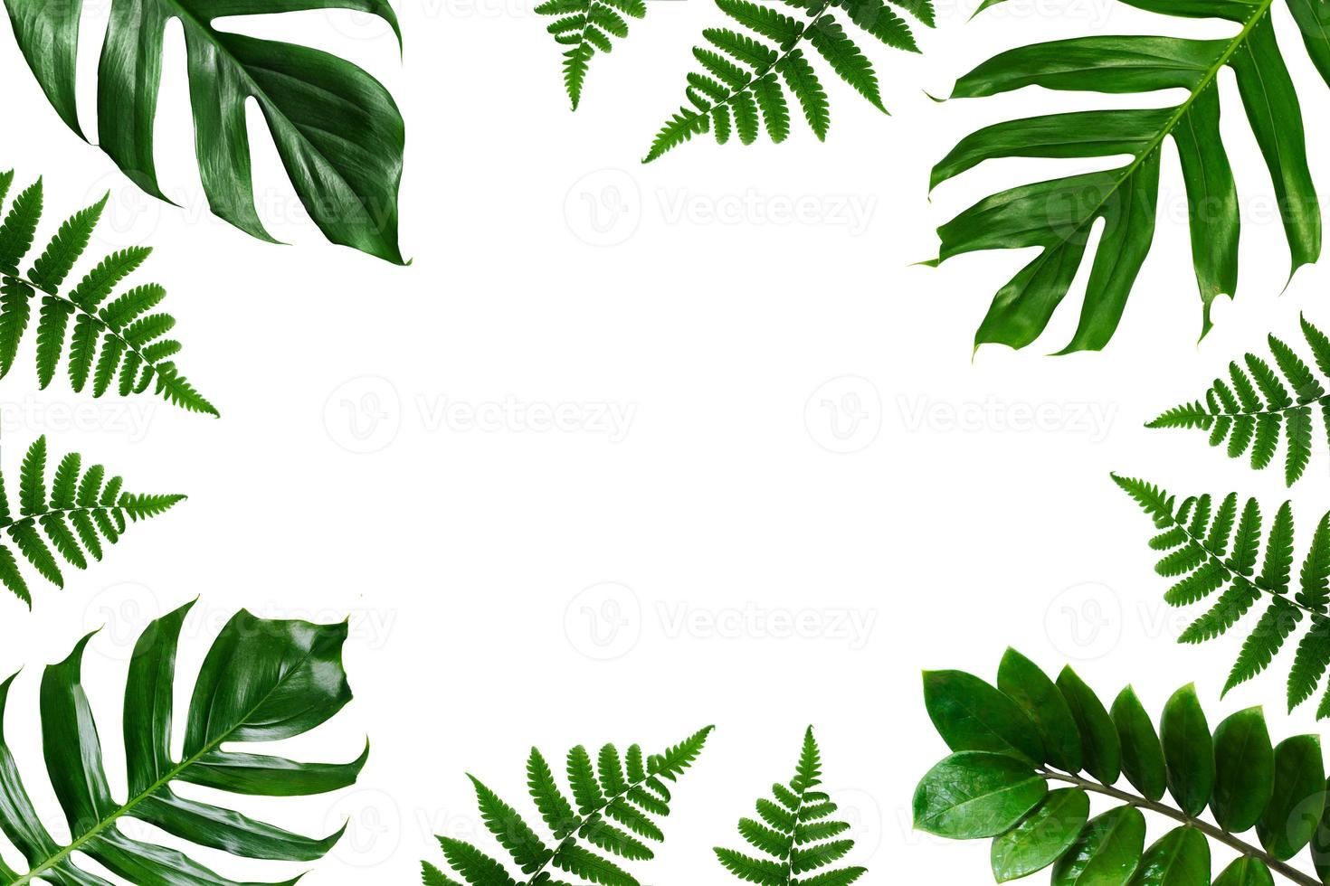 tropische palm bladeren frame op een witte achtergrond foto