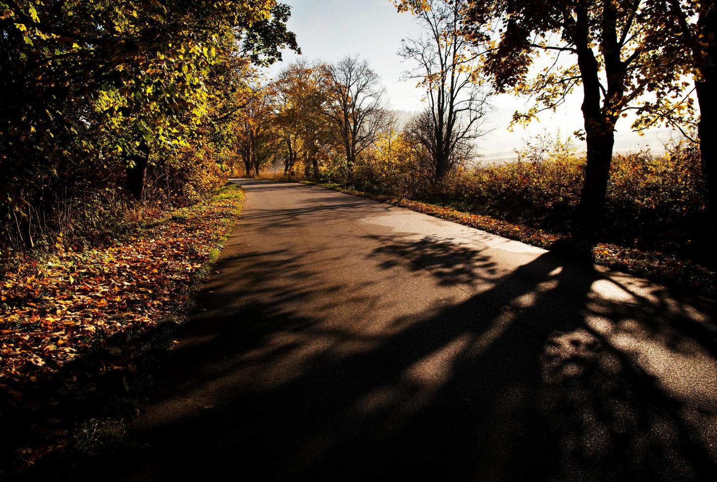 's ochtends op een weg in de herfst foto