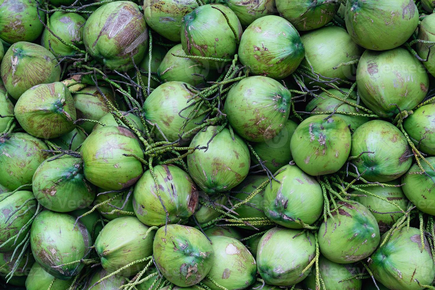 groep van groen kokosnoten getextureerde achtergrond foto