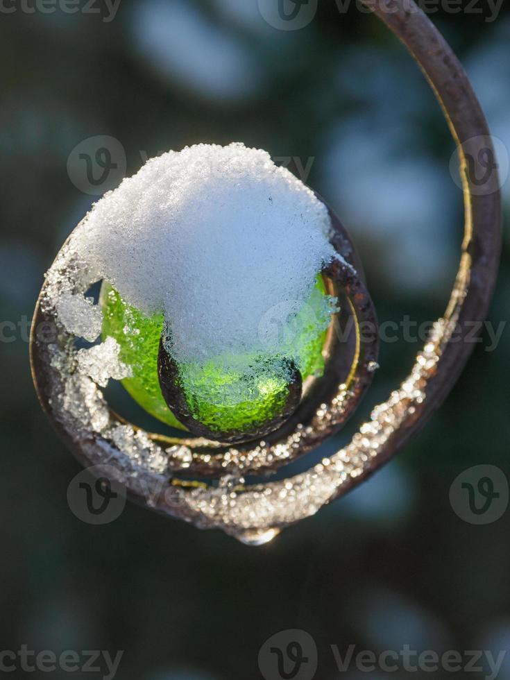 winter tijd in de tuin foto