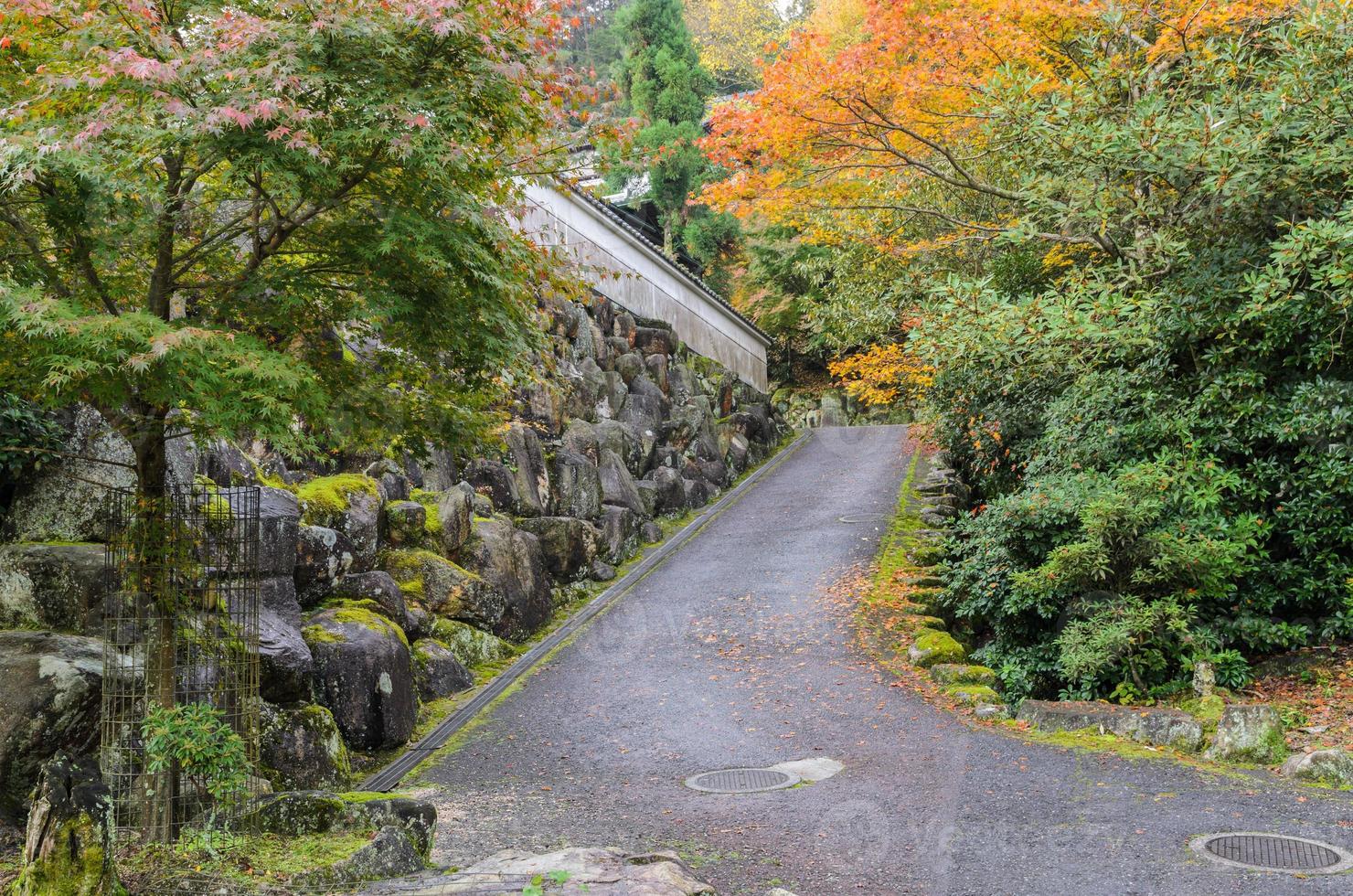 romantisch herfst weg in miyajima, Japan foto