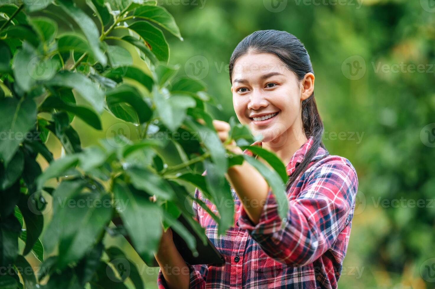 Aziatisch jong vrouw boer met een tablet in haar handen onderzoekt de groen veld. modern technologieën in landbouw beheer en agribusiness concept. foto