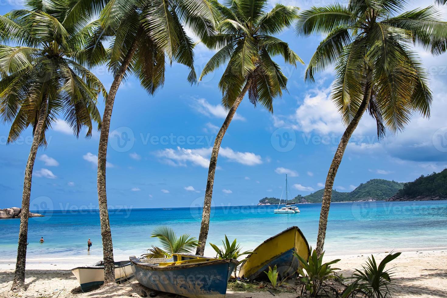 kokosnoot plam bomen en boten in de buurt de strand van takamaka, mahe Seychellen foto