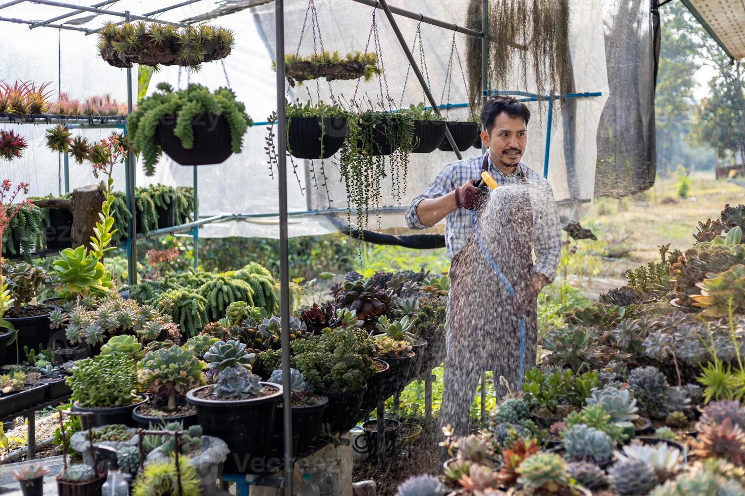 Aziatisch tuinman is gieter de sappig fabriek binnen zijn kas gebruik makend van slang voor hobby en sier- tuin bedrijf concept foto