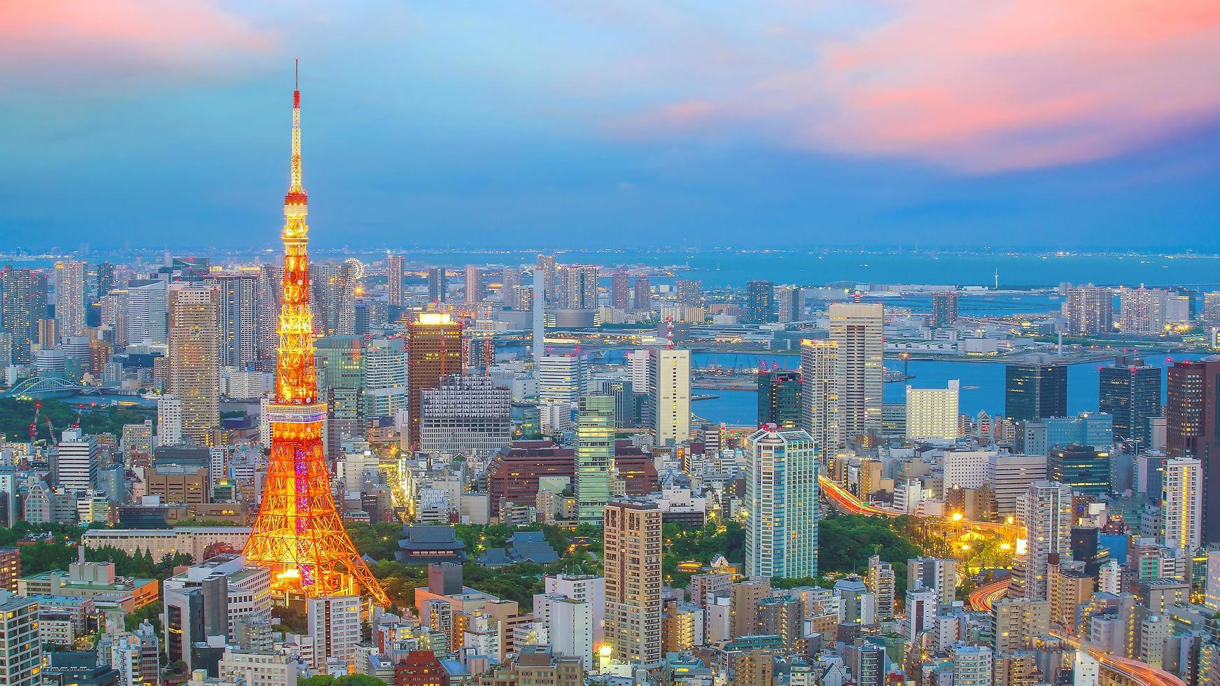 panoramisch uitzicht op de skyline van Tokio met de toren van Tokio en het zakencentrum bij schemering foto