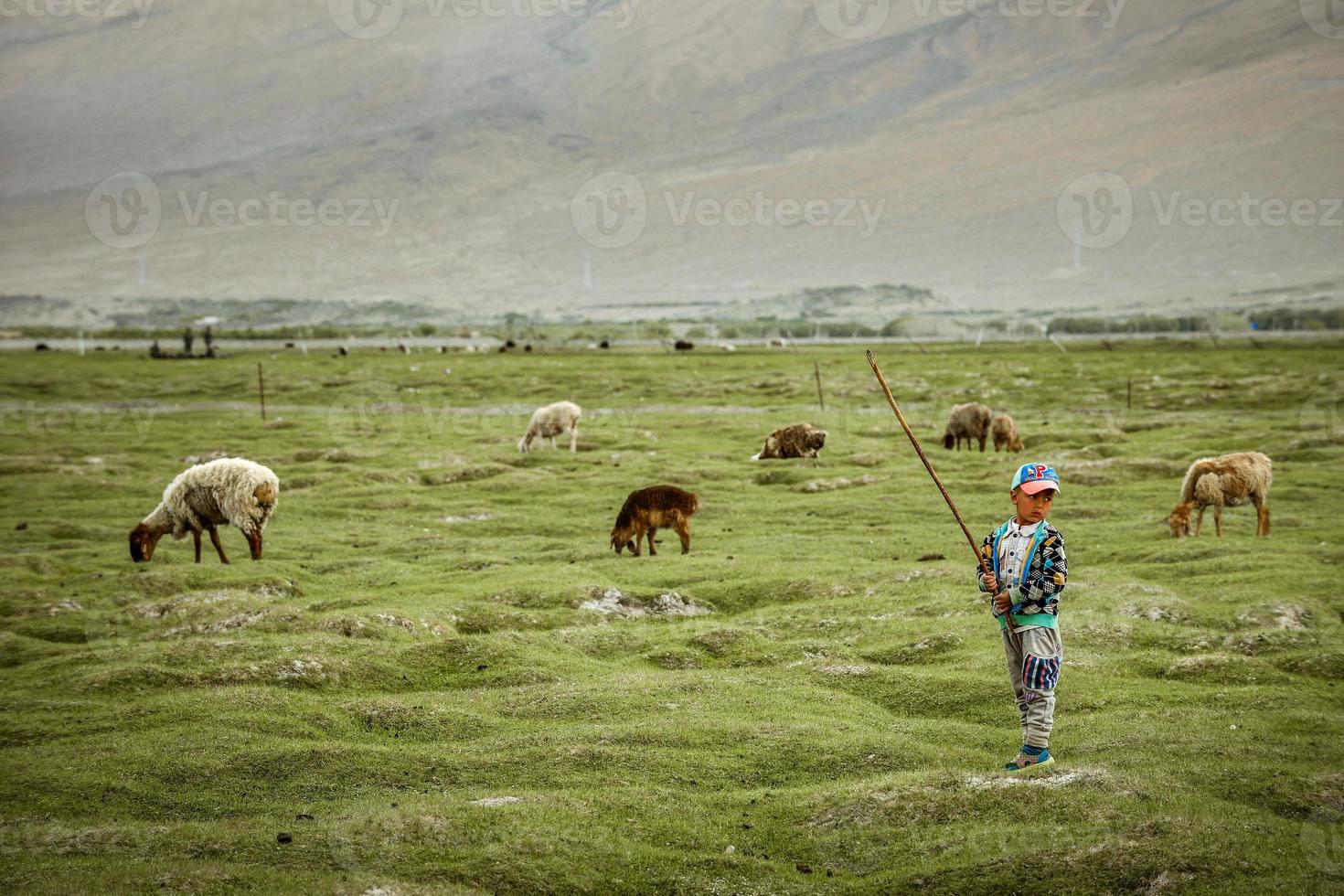 herders naast de steen huis en schapen door de rivier- foto