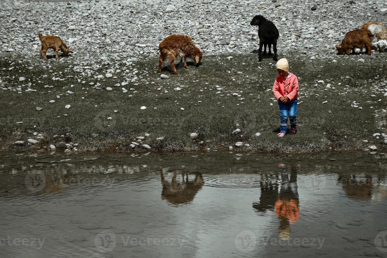 herders naast de steen huis en schapen door de rivier- foto