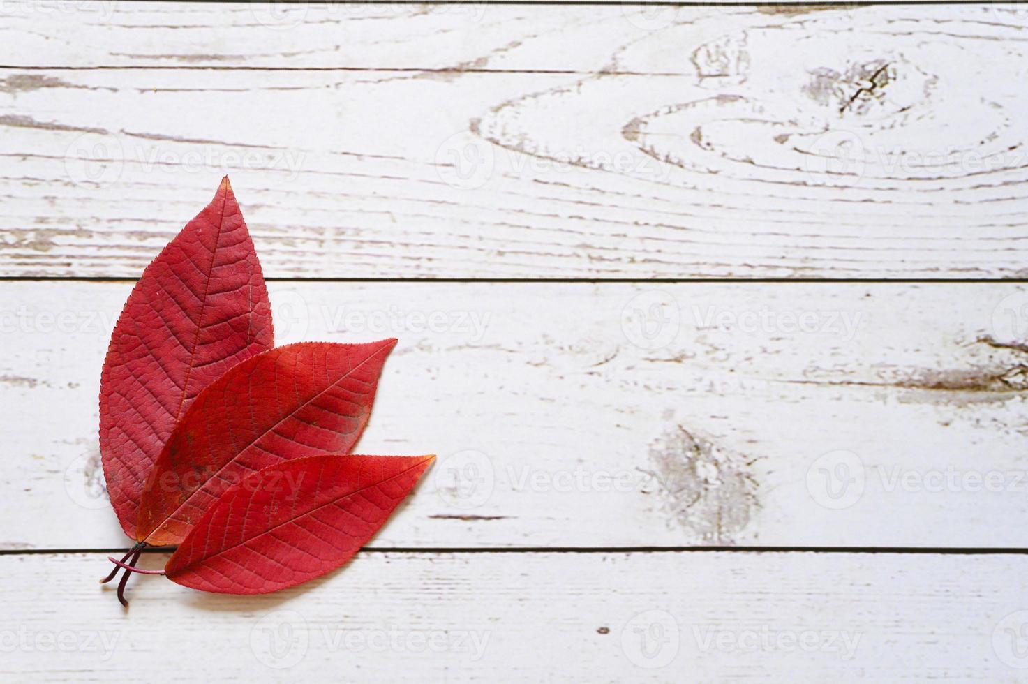 verschillende rode herfst gevallen bladeren op een lichte houten plank achtergrond foto