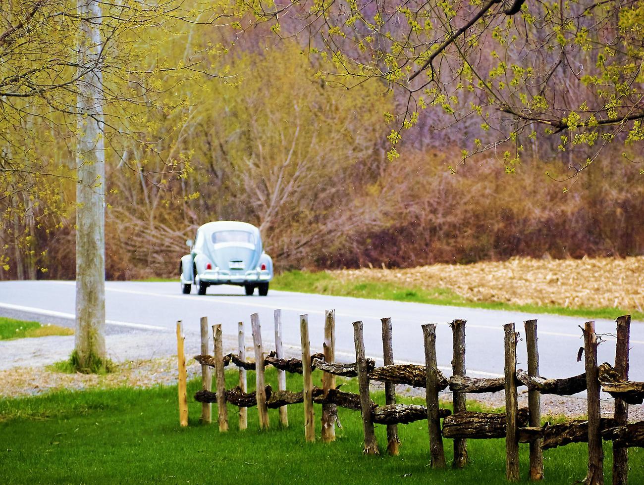 we halen onze mooie oude auto's tevoorschijn foto