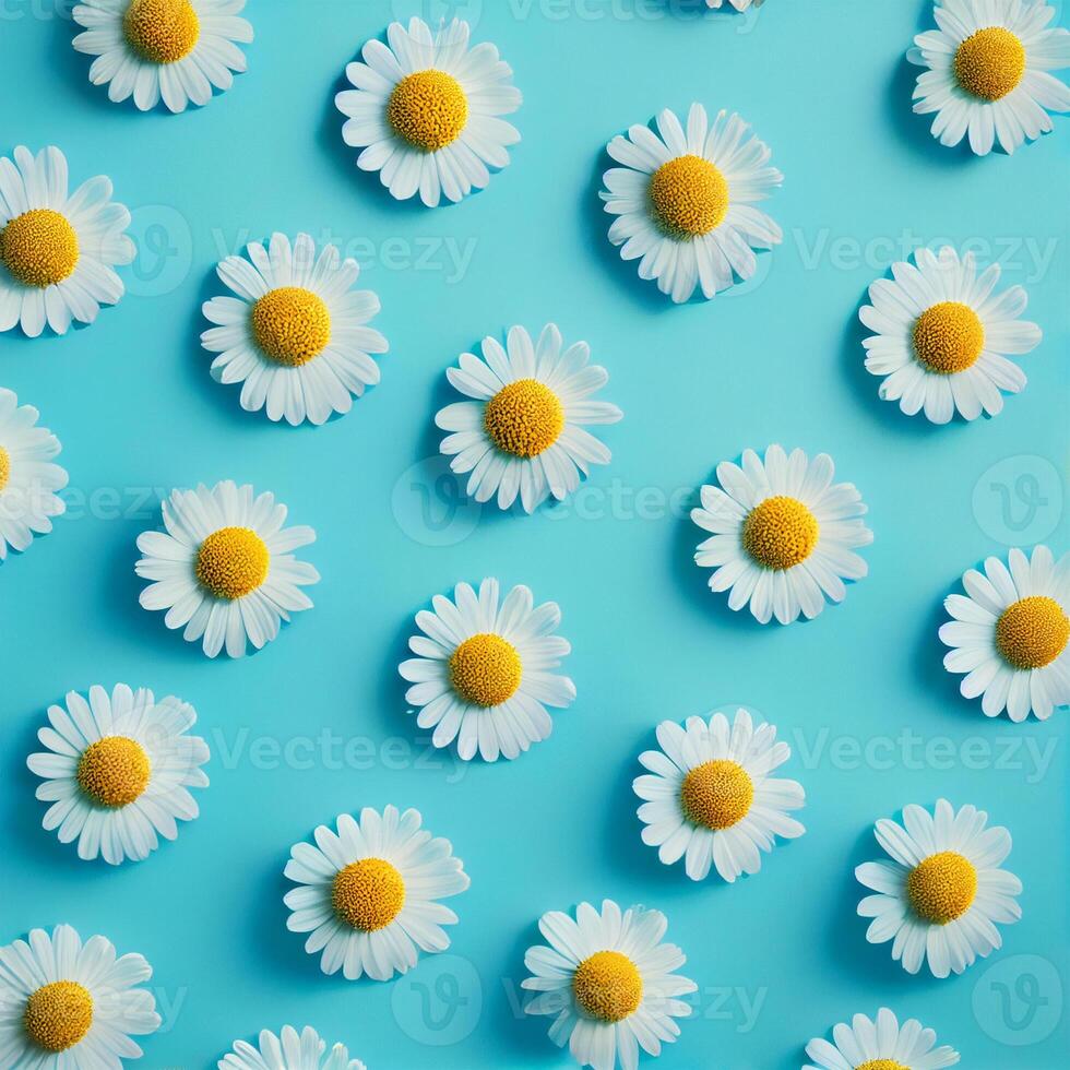 vlak leggen voorjaar bloeiend en zomer kamille bloemen Aan blauw achtergrond patroon - ai gegenereerd beeld foto