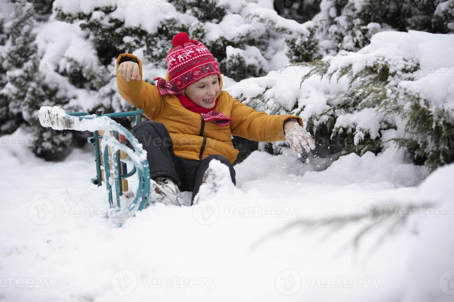 een weinig jongen zit in een slee Aan de sneeuw tegen de achtergrond van met sneeuw bedekt pluizig Kerstmis bomen. kind Aan een winter dag. foto