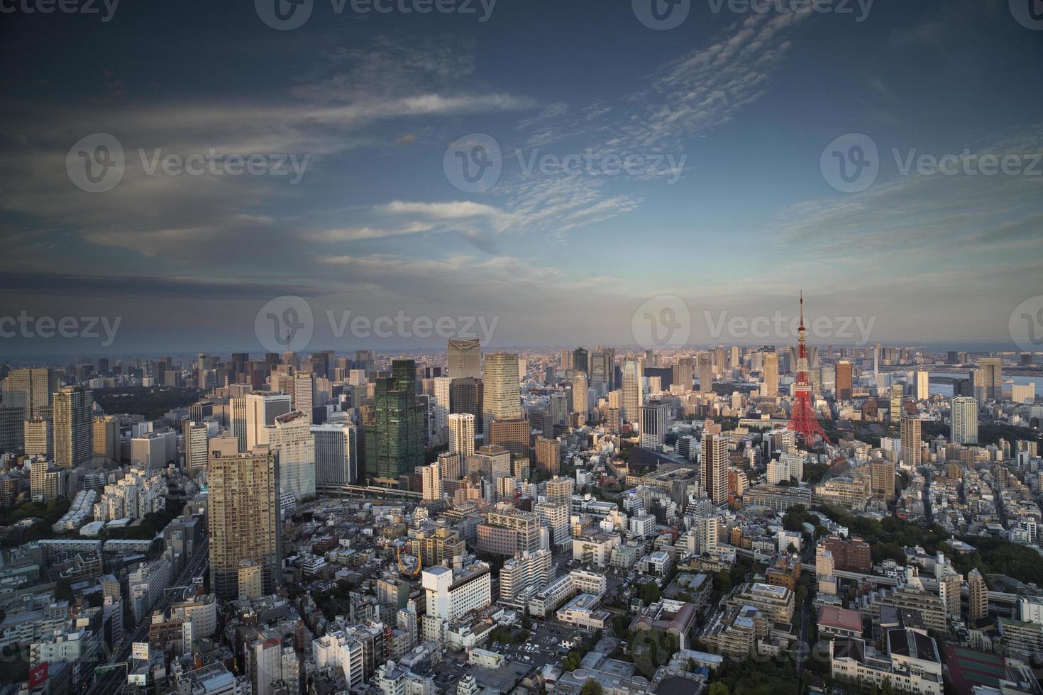 verbazingwekkend tokyo horizon foto