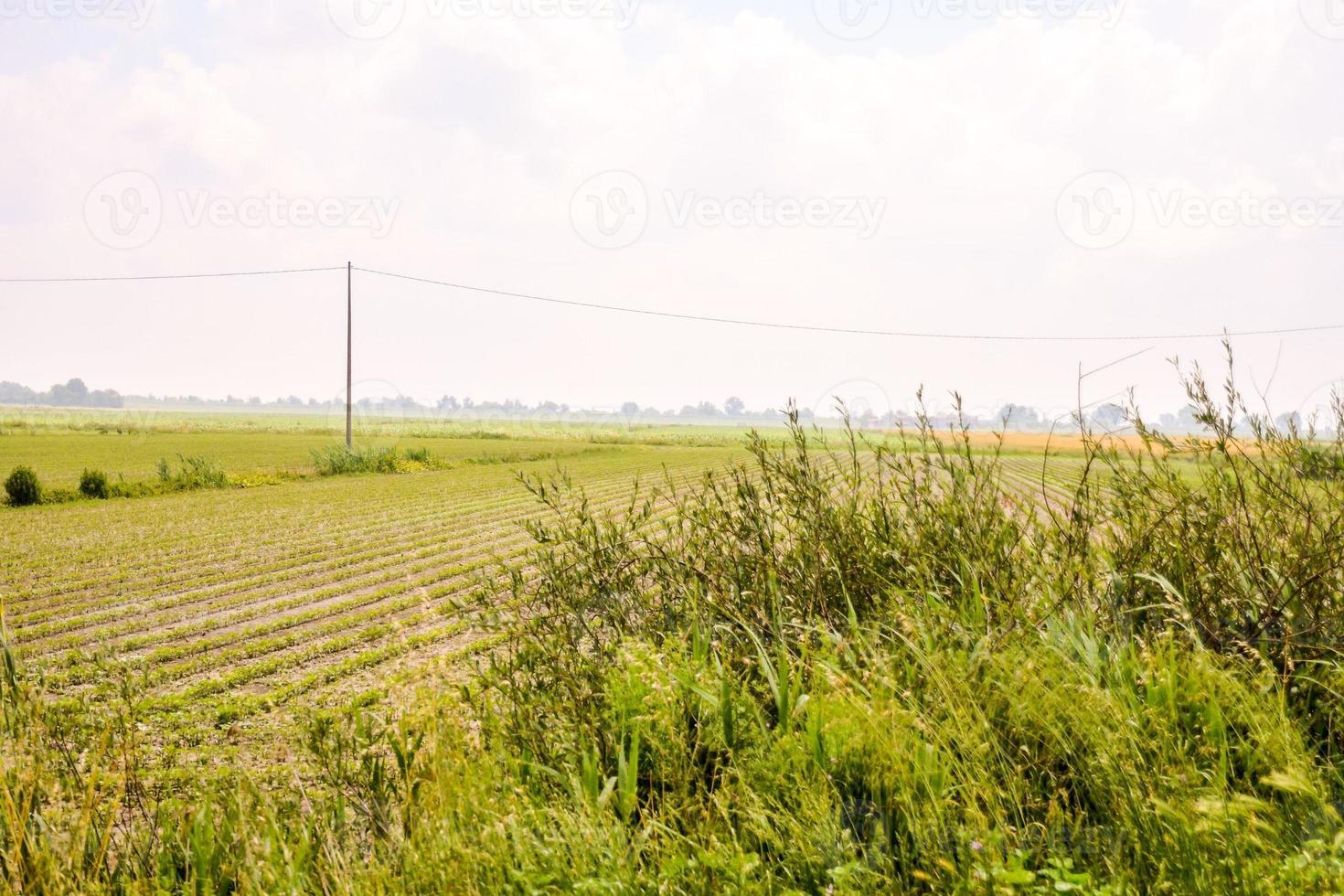 toneel- landelijk landschap foto