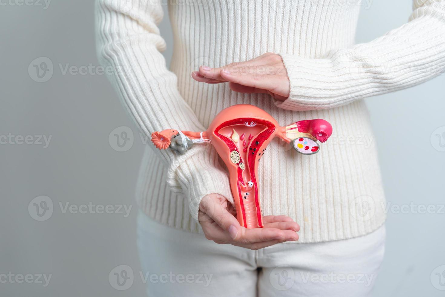 vrouw Holding baarmoeder en eierstokken model. eierstok en cervicaal kanker, baarmoederhals wanorde, endometriose, hysterectomie, baarmoeder vleesbomen, voortplantings- systeem en zwangerschap concept foto