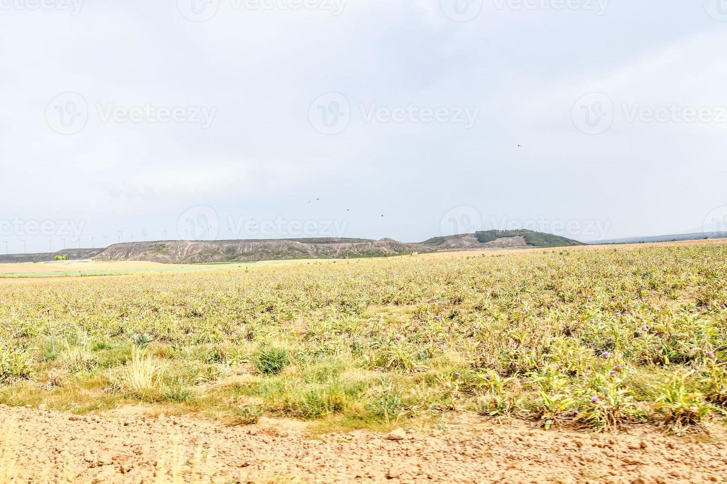 toneel- landelijk landschap foto