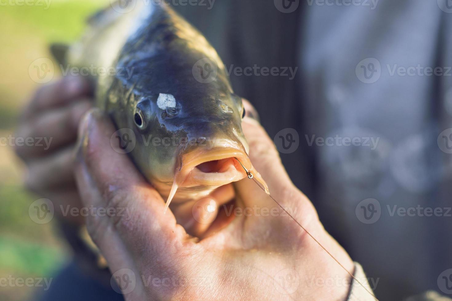 persoon met een karper vis foto