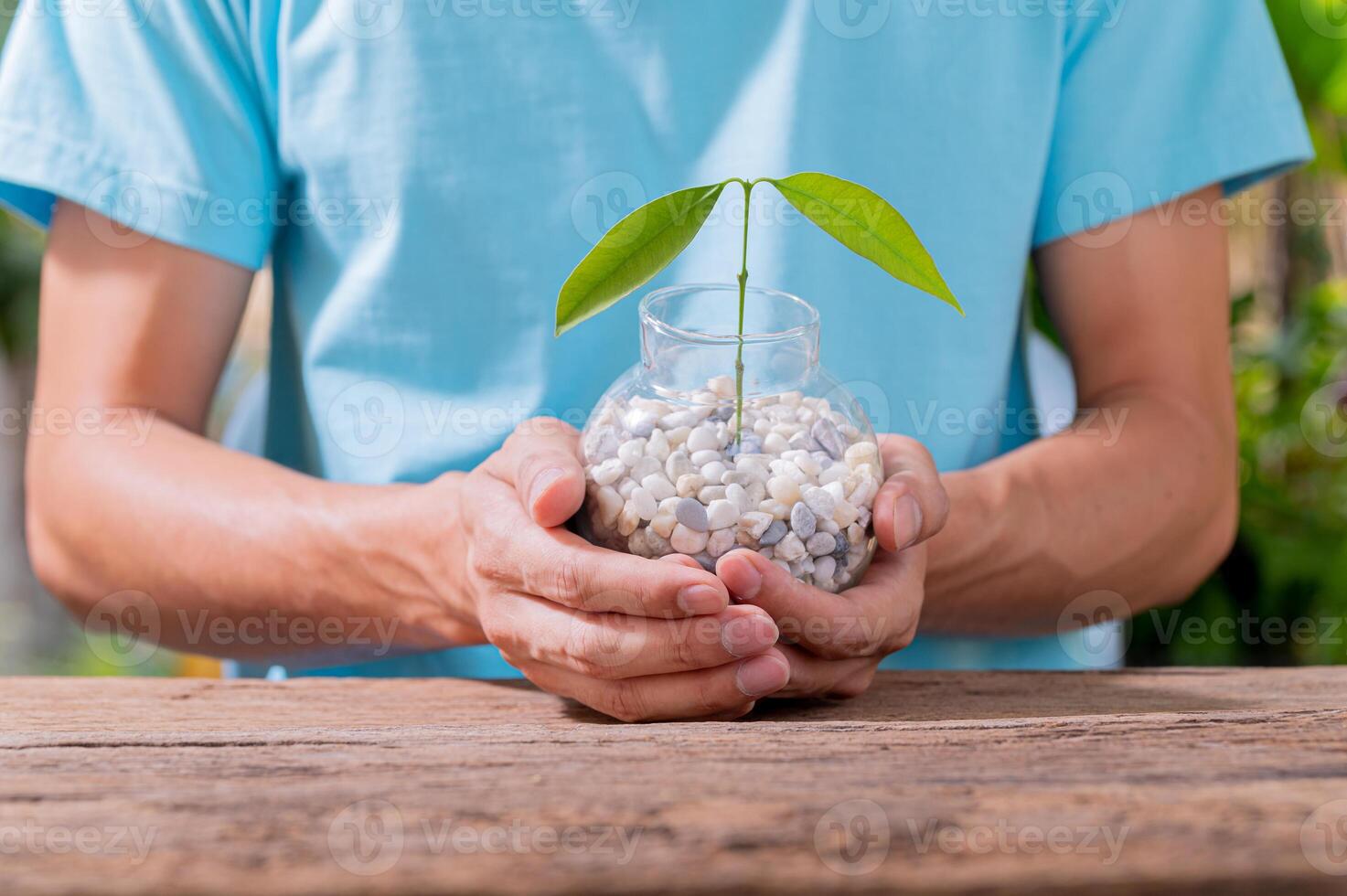 een persoon die bomen in potten plant, concept voor de liefde voor planten en het milieu foto