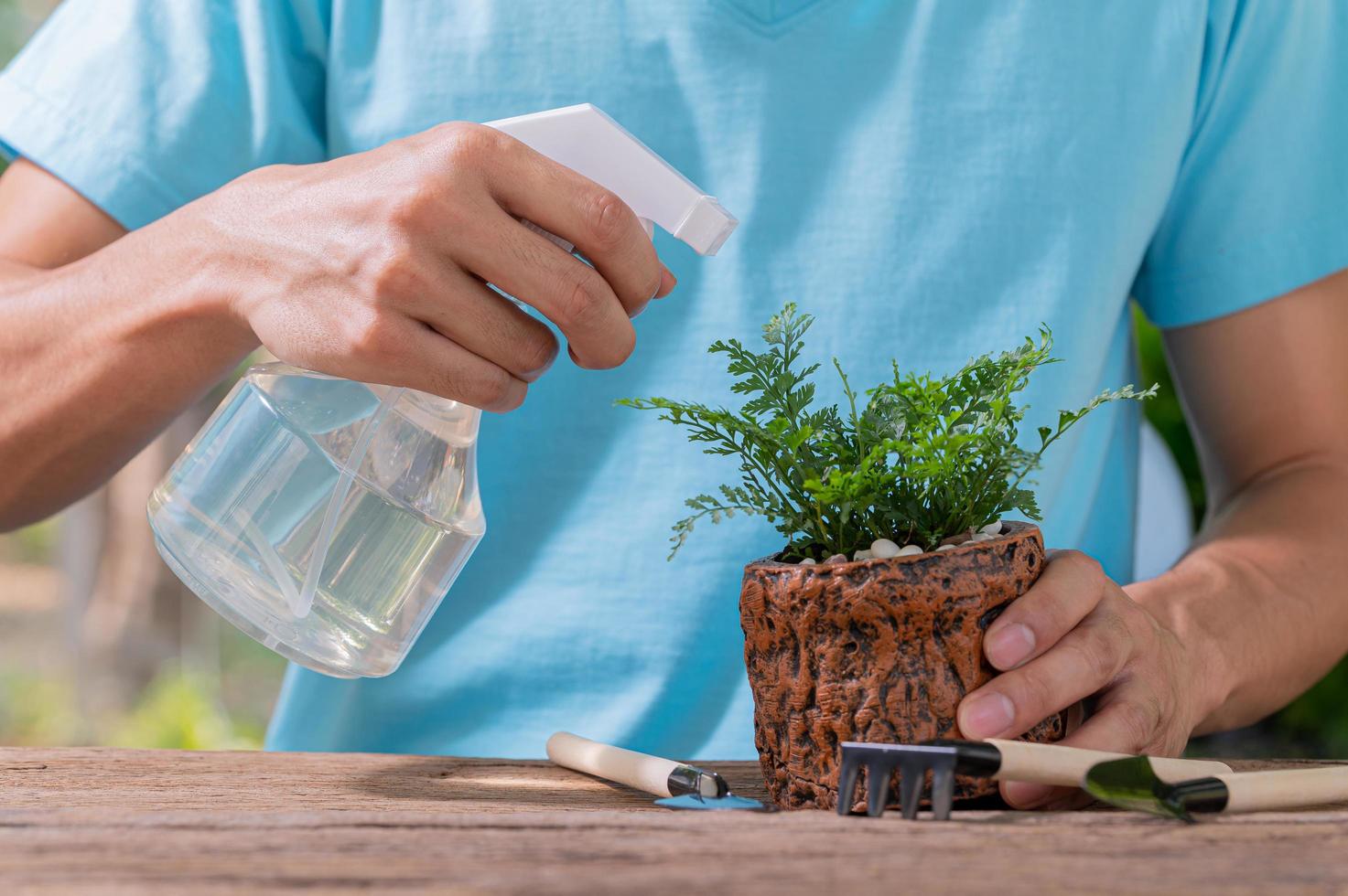 een persoon die water sproeit op een plant in een pot foto