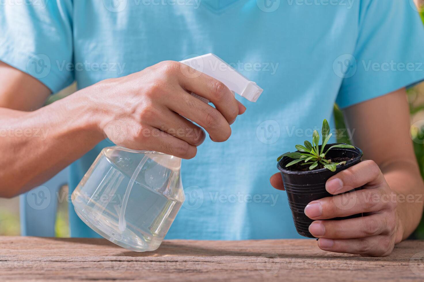 een persoon die water sproeit op een plant in een pot foto