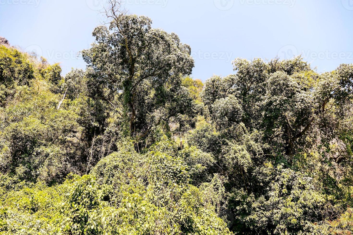 landelijk landschap in Azië foto