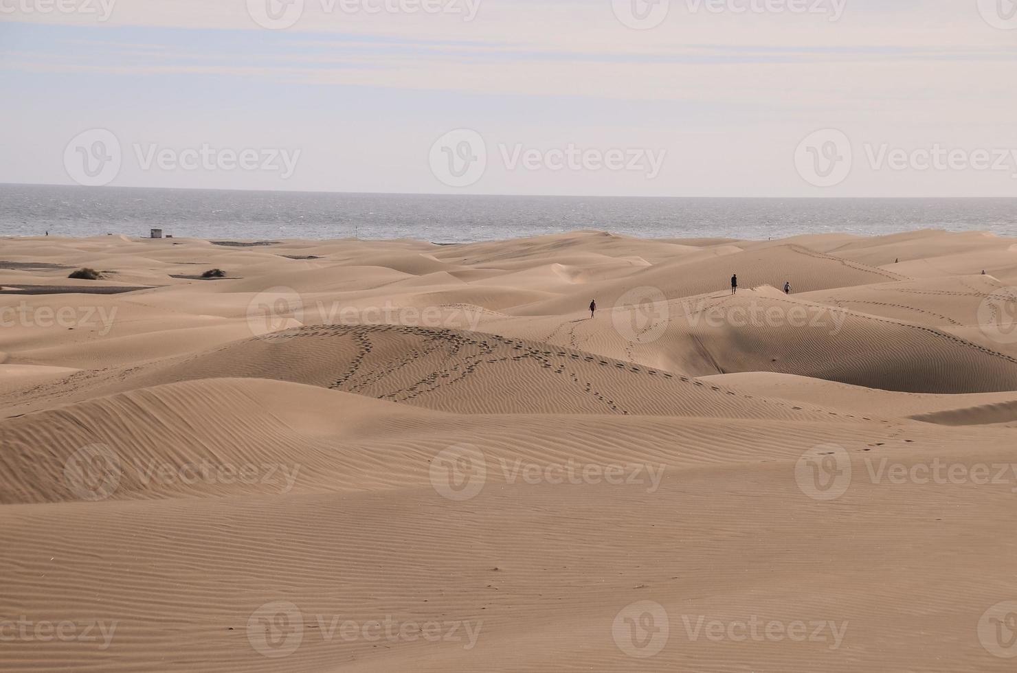 zand duinen door de zee foto