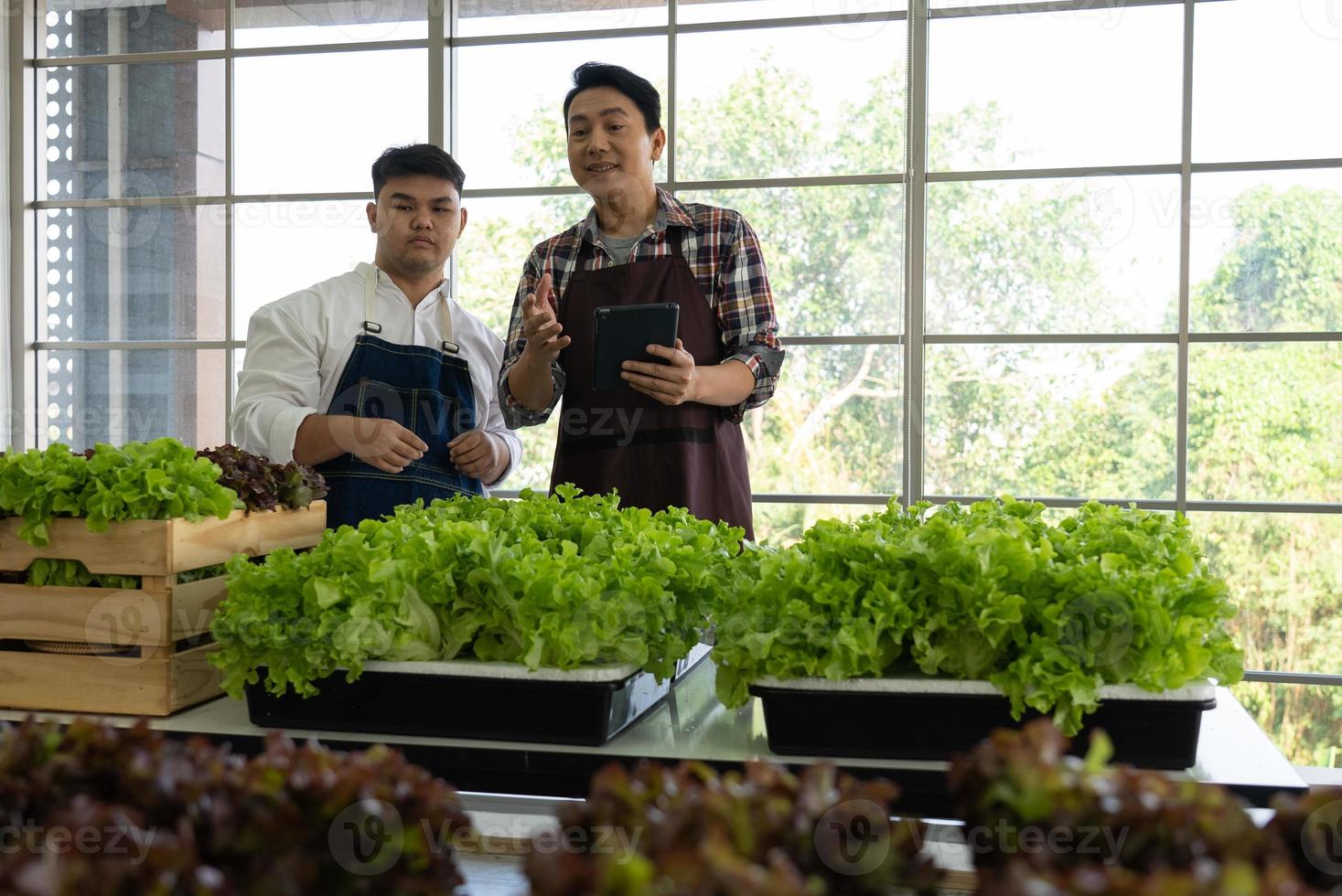 Aziatisch groenteboer en arbeider gebruik makend van technologie naar organiserende verkoop vers biologisch groen sla Aan lokaal markt foto
