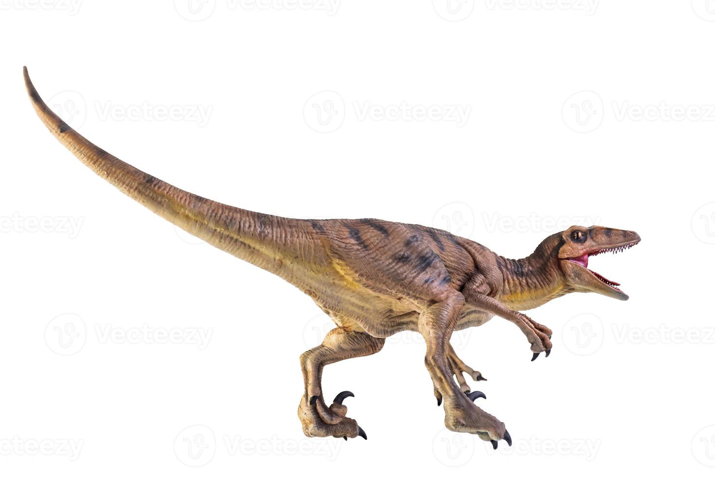 dinosaurus , velociraptor geïsoleerd achtergrond foto