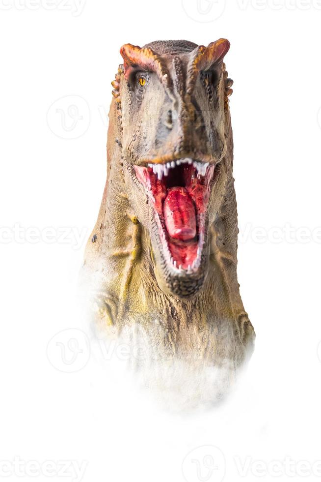 de hoofd van carcharodontosaurus , dinosaurus Aan geïsoleerd achtergrond . foto