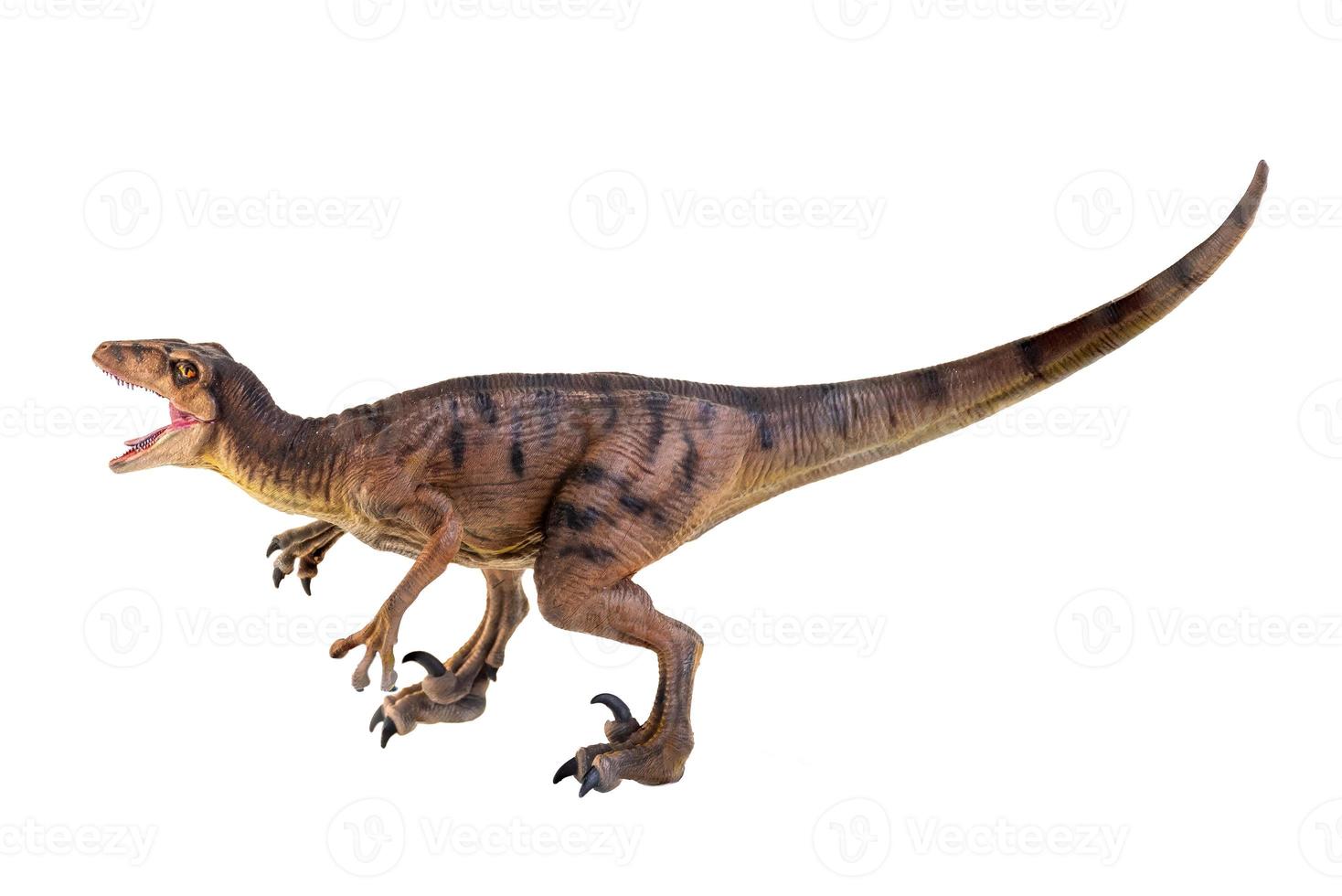 dinosaurus , velociraptor geïsoleerd achtergrond foto