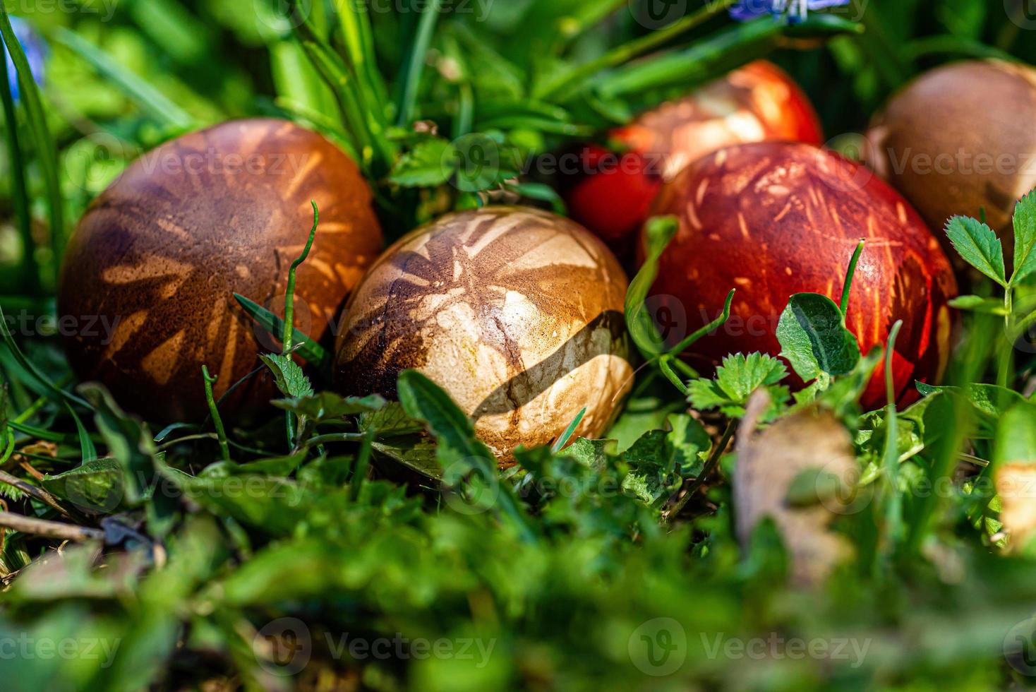 veelkleurige paaseieren in groen gras foto