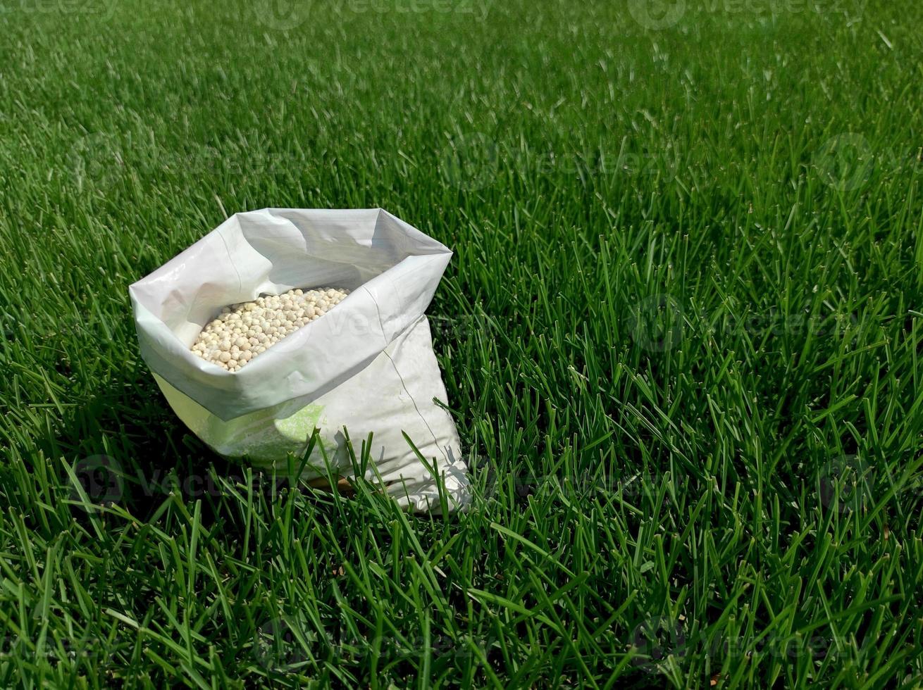 kunstmest voor gras, gazon, weide in een zak van wit korrels Aan een achtergrond van groen gras. dichtbij omhoog van mineraal kunstmest korrels gebruikt Aan gras gazons en tuinen naar in stand houden Gezondheid en groei. foto