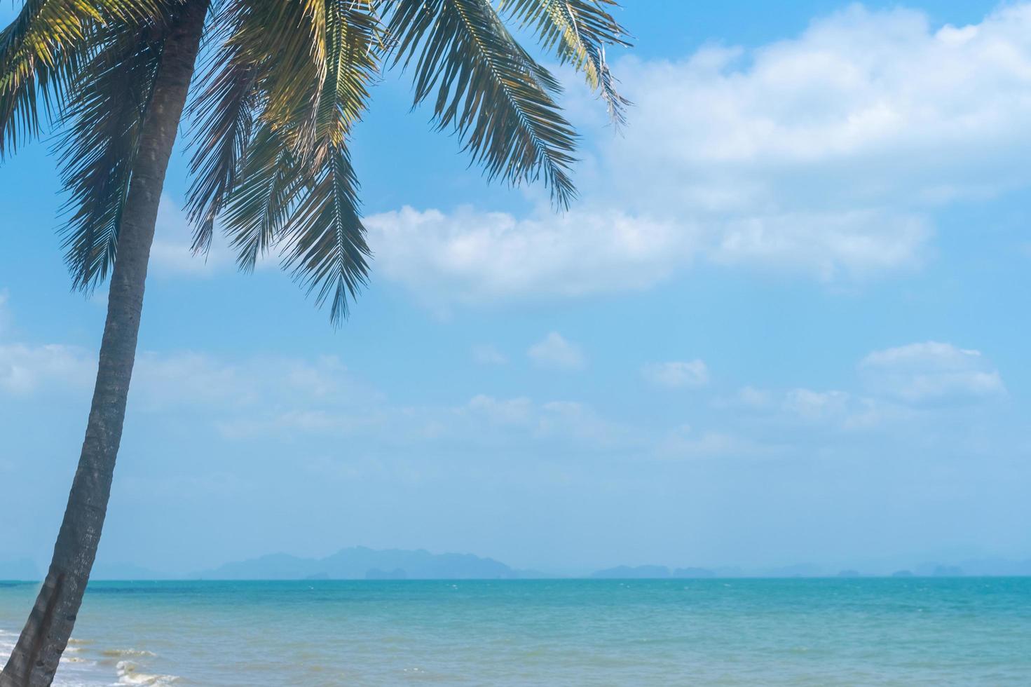 tropisch strand in het zomerseizoen met een blauwe hemelachtergrond foto